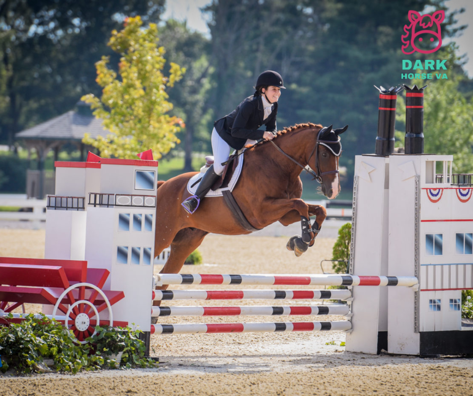 10 Unstoppable Marketing Moves to Skyrocket Your Equestrian Business in 2025 and Beyond